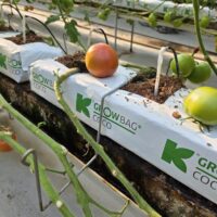 줄기받침대 사진